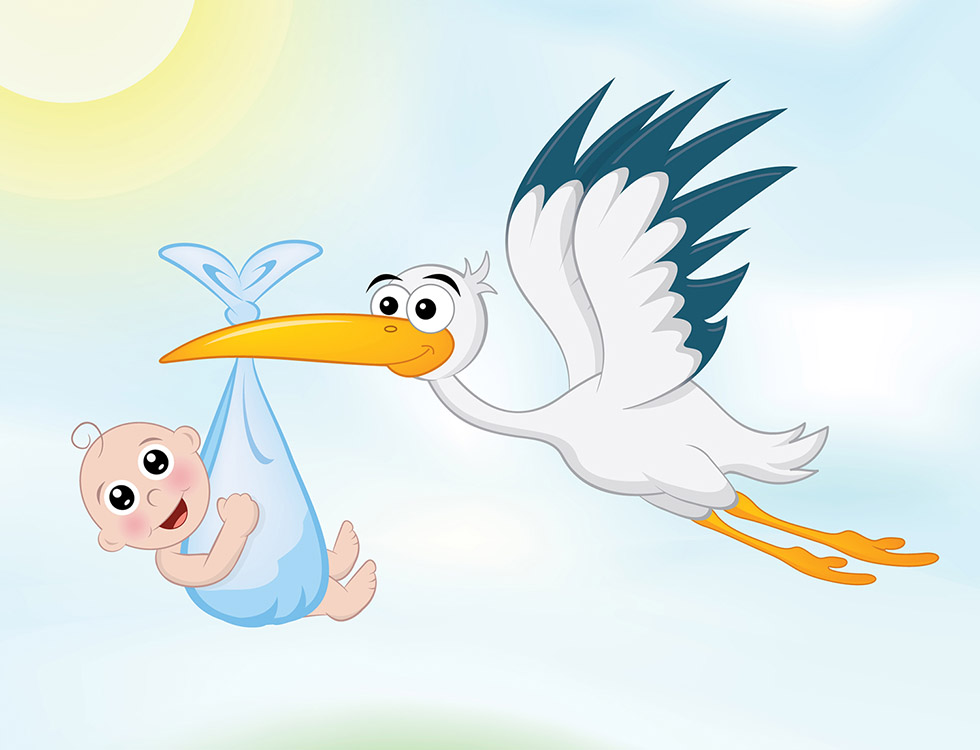 stork and baby illustration